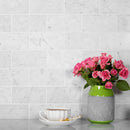 White 3x6 Honed Subway Bianco Carrara Marble Tile (40 pack, 5 sq ft/case)