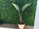 Sample Panel – Green Tropics Vertical Garden (Small Sample) by Designer Plants USA
