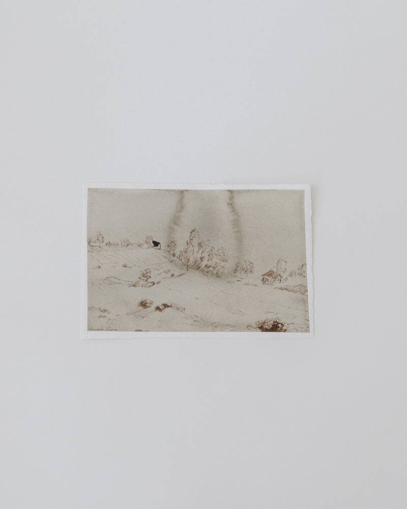 Traces of the Field I - Artist's Original Artwork