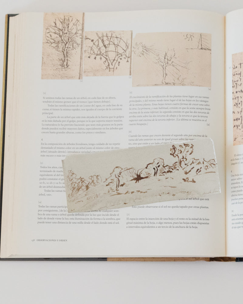 Traces of the Field III - Artist's Original Artwork