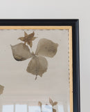 Botanical Thoughts I