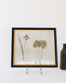 Botanical Thoughts II