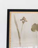 Botanical Thoughts II