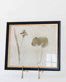 Botanical Thoughts II