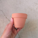 2.5'' Terracotta Pot