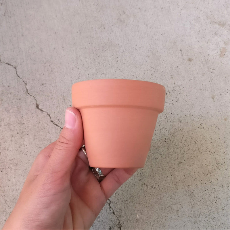 2.5'' Terracotta Pot