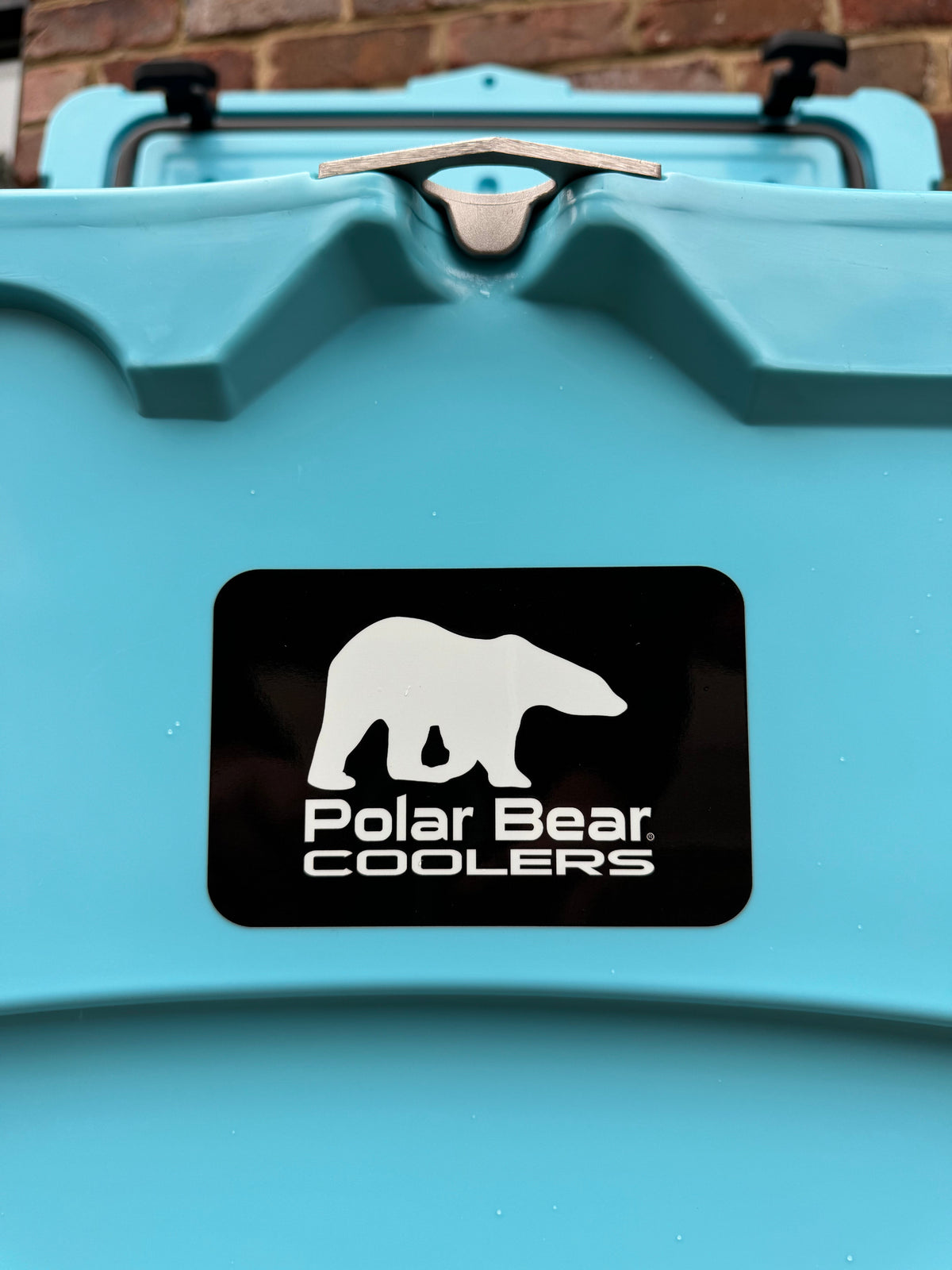 Polar Bear 45 Hard Coolers, photo 8 of 21
