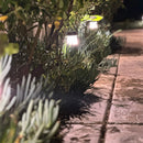 BPLP01 Brutus 18" Black Brass Bollard Light Low Voltage Outdoor Lighting