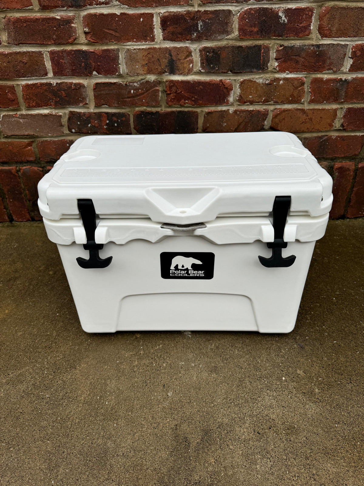 Polar Bear 20 Hard Cooler, photo 18 of 25
