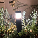 BPLP01 Brutus 18" Black Brass Bollard Light Low Voltage Outdoor Lighting