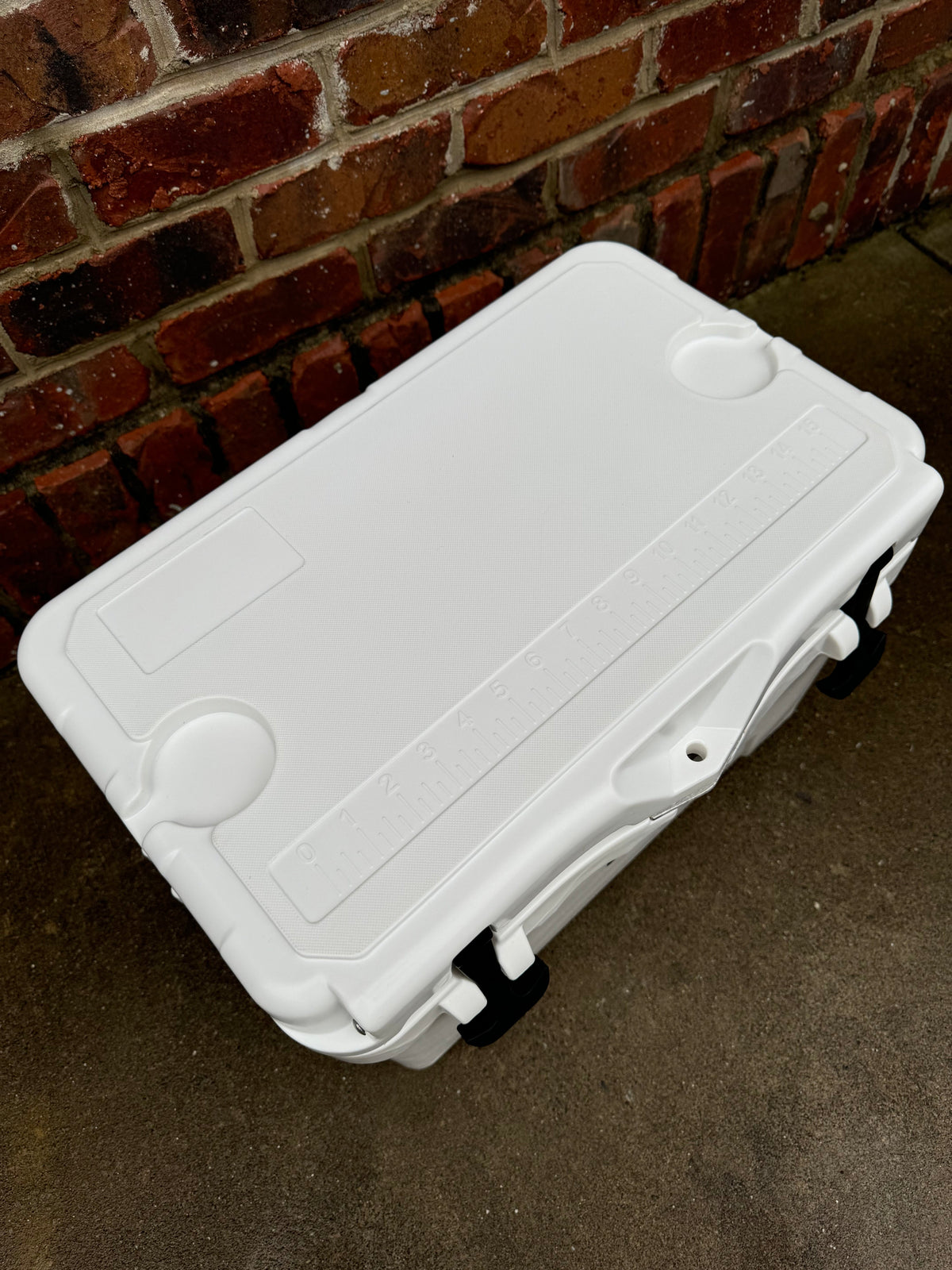 Polar Bear 20 Hard Cooler, photo 15 of 25