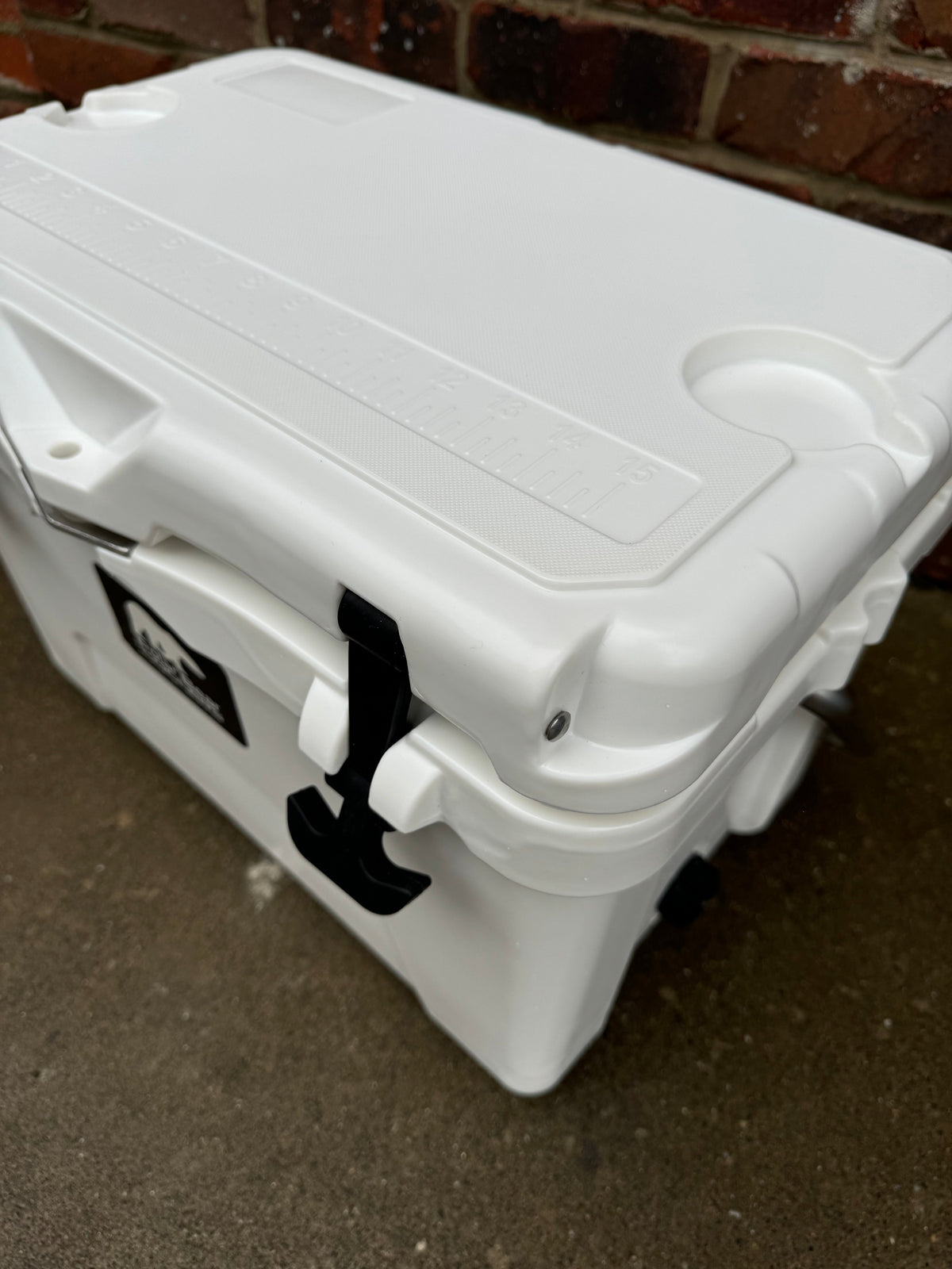 Polar Bear 20 Hard Cooler, photo 10 of 25
