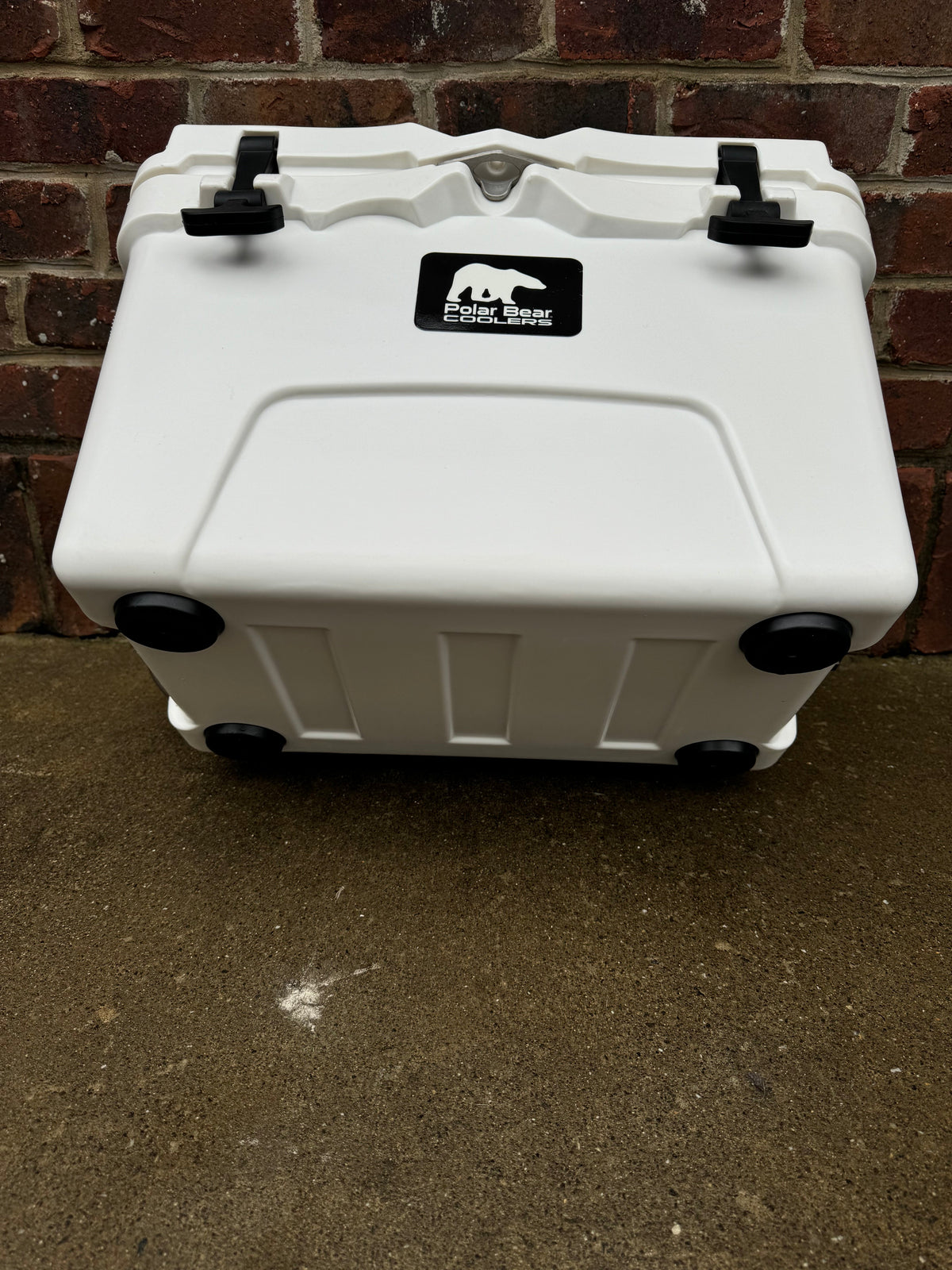 Polar Bear 20 Hard Cooler, photo 24 of 25