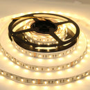 SL04 Strip Light RGB 5050 4.8W/ft 10mm DC12V Low Voltage LED Indoor IP20 UL SMD Tape Light