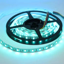 SL05 Strip Light RGB 5050 4.8W/ft 10mm DC12V Low Voltage LED Outdoor IP65 UL SMD Tape Light by Kings Outdoor Lighting