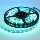 SL08 Strip Light RGBW 5050 4.5W/ft 12mm DC24V Low Voltage LED Indoor IP20 UL SMD Tape Light