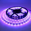 SL05 Strip Light RGB 5050 4.8W/ft 10mm DC12V Low Voltage LED Outdoor IP65 UL SMD Tape Light by Kings Outdoor Lighting