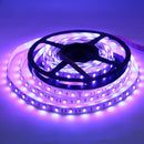 SL08 Strip Light RGBW 5050 4.5W/ft 12mm DC24V Low Voltage LED Indoor IP20 UL SMD Tape Light