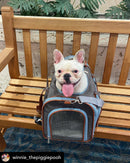 Mr. Peanut's Gold Series Big Apple XL Expandable Pet Carrier V3.0 by Mr. Peanut's Pet Carriers