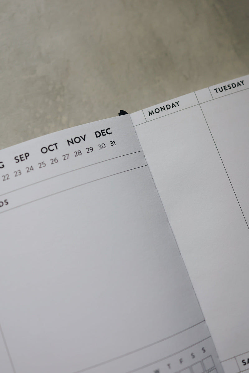 8x10 Undated Planner - Stars Edition