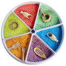 Sensory Play Tray with Removable Compartments and Lid