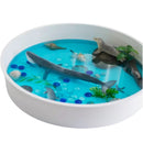 Sensory Play Tray with Removable Compartments and Lid