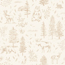Boy Room Samples