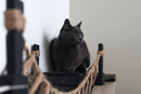 The Temple - Giant Cat Tree on Wall