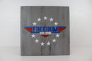 Freedom Series Concealment Wall Art