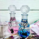 Valentine’s Day Romantic Marimo Moss Balls 2PCS Set Glass Bottle Aquarium With Lid Love Plants for Beginners for Couples