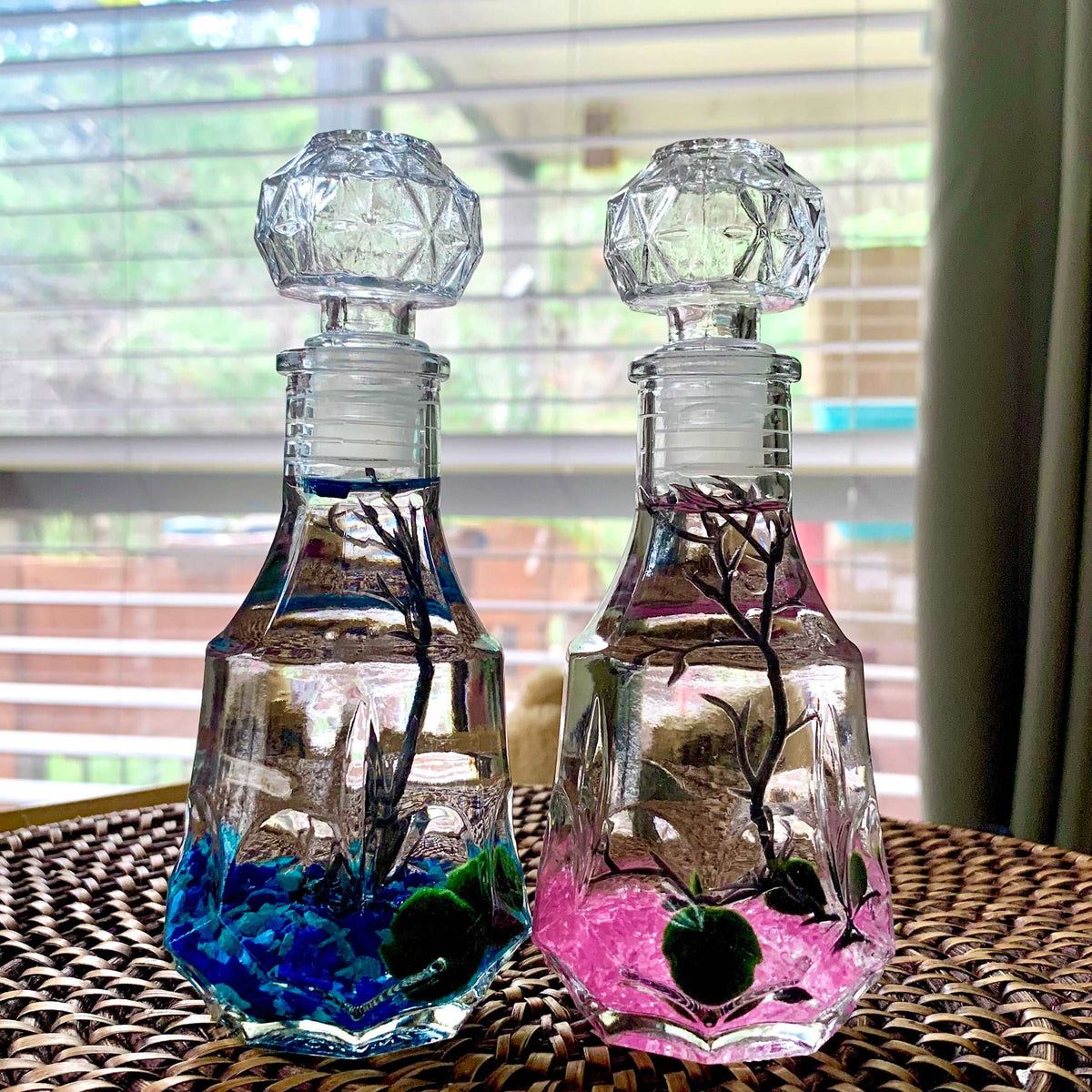 Valentine’s Day Romantic Marimo Moss Balls 2PCS Set Glass Bottle Aquarium With Lid Love Plants for Beginners for Couples, photo 7 of 8