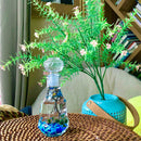 Moss Ball Aquarium Romantic Marimo Moss Balls Glass Bottle Aquarium With Lid Love Plants for Beginners for Couples Blue