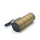 SCSP01 Stelvio Sconce Antique Brass Finish Up/Down Light Low Voltage Outdoor Lighting by Kings Outdoor Lighting