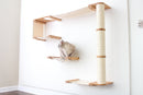 The Climb Condo - Cat Wall Climbing System