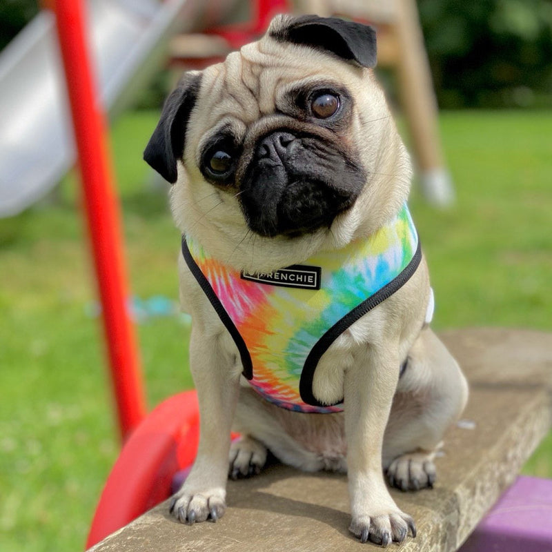 Frenchie Duo Reversible Harness - Tie Dye