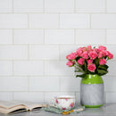 White 3x6 Matte Subway Glass Tile (40 pack, 5 sq ft/case)