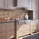 Brown 9x13 Polished Hexagon Porcelain Mosaic Tile (9 pack, 7.09 sq ft/case)