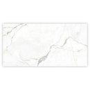 Pearl White with Gray Vein 24x48 Matte Porcelain Large Format Tile (2 pack, 15.5 sq ft/case)