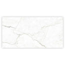 Pearl White with Gray Vein 24x48 Matte Porcelain Large Format Tile (2 pack, 15.5 sq ft/case)