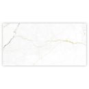 Pearl White with Gray Vein 24x48 Matte Porcelain Large Format Tile (2 pack, 15.5 sq ft/case) - Sample