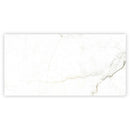 Pearl White with Gray Vein 24x48 Matte Porcelain Large Format Tile (2 pack, 15.5 sq ft/case)