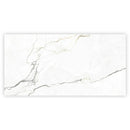 Pearl White with Gray Vein 24x48 Matte Porcelain Large Format Tile (2 pack, 15.5 sq ft/case) - Sample