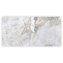 Pale Gray 24x48 Polished Porcelain Large Format Tile (2 pack, 15.5 sq ft/case)