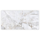 Pale Gray 24x48 Polished Porcelain Large Format Tile (2 pack, 15.5 sq ft/case)