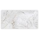 Pale Gray 24x48 Polished Porcelain Large Format Tile (2 pack, 15.5 sq ft/case)
