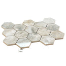 Light Taupe Beige 9x13 Polished Hexagon Porcelain Mosaic Tile (9 pack, 7.09 sq ft/case)