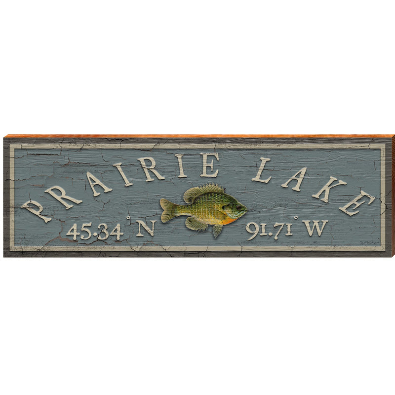 Prairie Lake Latitude Longitude Sign | Wall Art Print on Real Wood