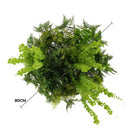 Imitation Gold Artificial Hanging Green Wall Disc 32in – Limited Edition – UV Resistant