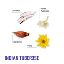 Advanced In-Wash Scent Booster