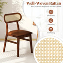 Indoor Mid Century Wood Dining Chairs Set of 2 for Dining Room by LJGDeals